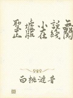 圣墟小说无删减正版在线阅读封面