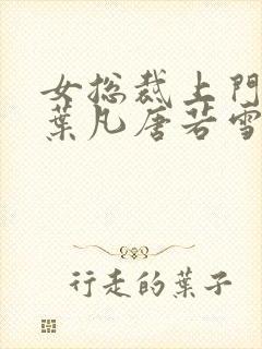 女总裁上门女婿叶凡唐若雪