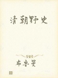 清朝野史