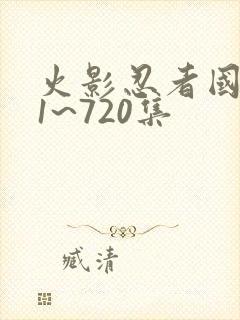 火影忍者国语版1~720集