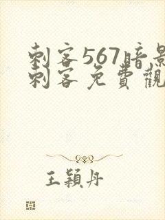 刺客567暗影刺客免费观看封面