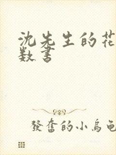 沈先生的花式调数书