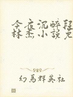 今夜沉醉段雪娇林杰小说免费阅读