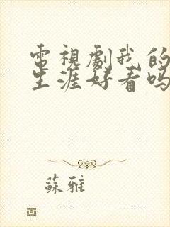 电视剧我的绝密生涯好看吗