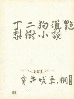 丁二狗猎艳人生梨树小说