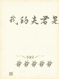 我的夫君是冥王封面