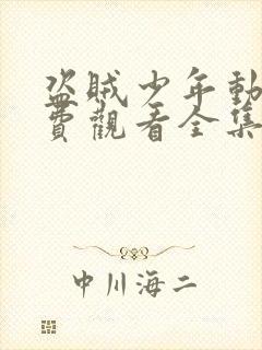 盗贼少年动漫免费观看全集高清