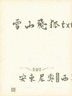 雪山飞狐txt封面