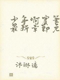 少年啊宾笔趣阁最新章节免费阅读