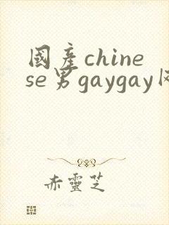 国产chinese男gaygay网站封面