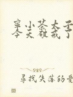 宁小茶太子殿下今天破戒了吗免费阅读