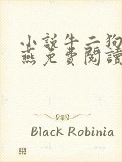 小说牛二狗陈小燕免费阅读笔趣阁封面