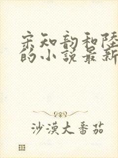 宋知韵和陆云归的小说最新章节封面