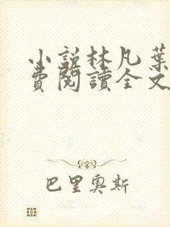 小说林凡叶惜免费阅读全文最新