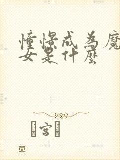 憧憬成为魔法少女是什么封面