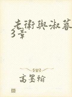 老卫与淑蓉第13章