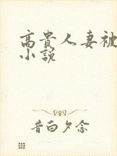 高贵人妻被调教小说封面