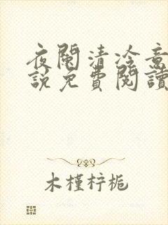 夜阑清冷意欢小说免费阅读
