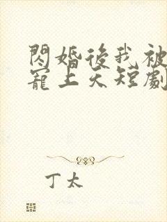 闪婚后我被总裁宠上天短剧封面