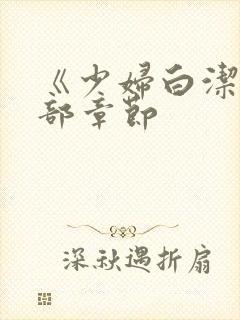 《少妇白洁》全部章节