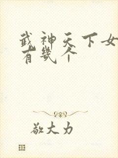 武神天下女主角有几个