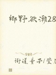 乡野欲潮28章