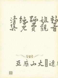 清纯师姐动漫全集免费观看完整版高清