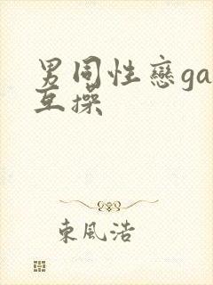 男同性恋gay互操