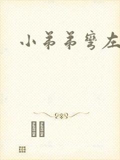 小弟弟弯左封面