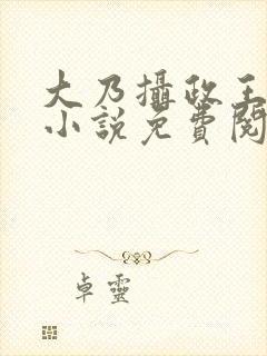 大乃摄政王被开小说免费阅读