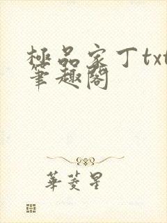 极品家丁txt笔趣阁