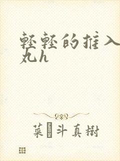 轻轻的推入合欢丸h