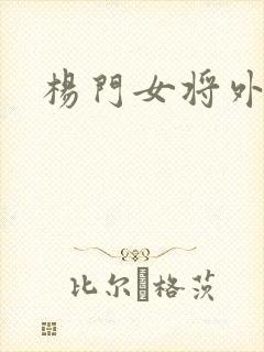 杨门女将外传