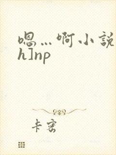 嗯…啊小说[高h]np