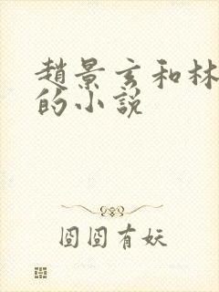 赵景玄和林婉卿的小说封面
