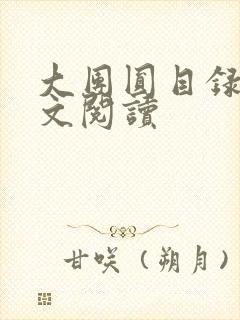 大团圆目录及全文阅读封面