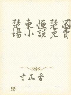 楚东恒楚国威官场小说免费阅读封面