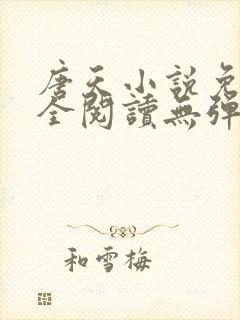 唐天小说免费大全阅读无弹窗