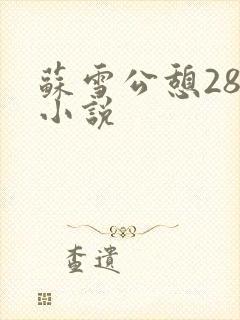 苏雪公憩28篇小说