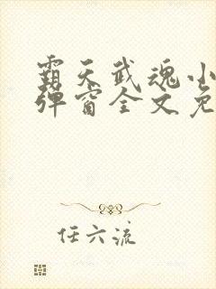 霸天武魂小说无弹窗全文免费阅读