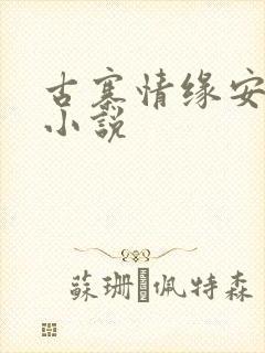 古寨情缘安家寨小说