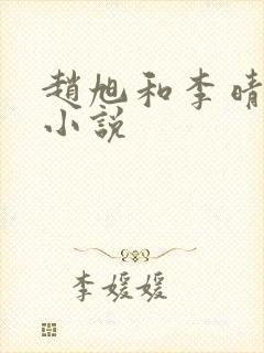 赵旭和李晴晴的小说