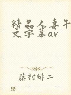 精品人妻午夜中文字幕av