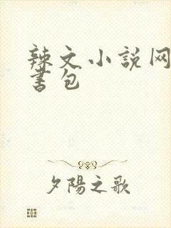 辣文小说网第二书包封面