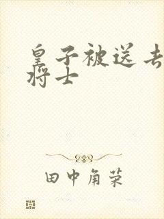 皇子被送去犒劳将士