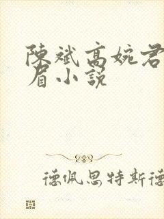 陈斌高婉君赵心眉小说