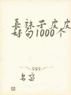 长袜子皮皮好词好句1000个封面