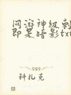 网游神级刺客我即是暗影txt