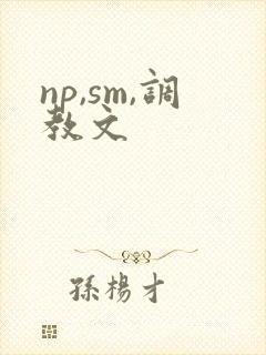 np,sm,调教文