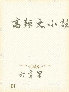 高辣文小说
